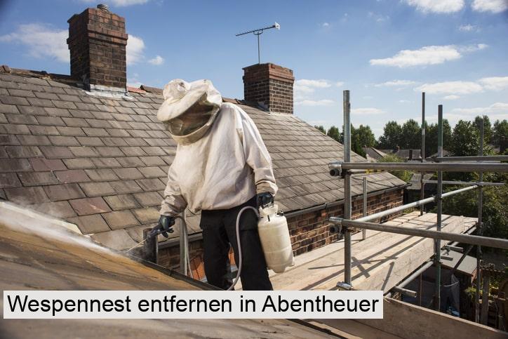 Wespennest entfernen in Abentheuer